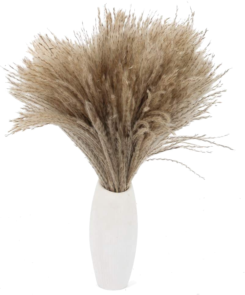 Dried Pampas Grass Karina Style Diaries