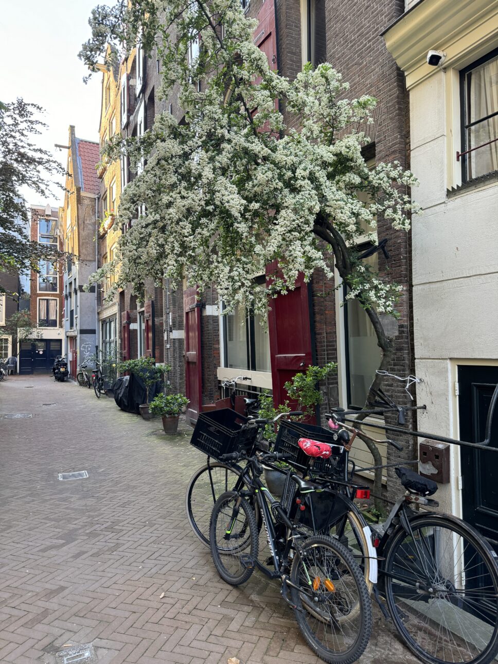 Amsterdam