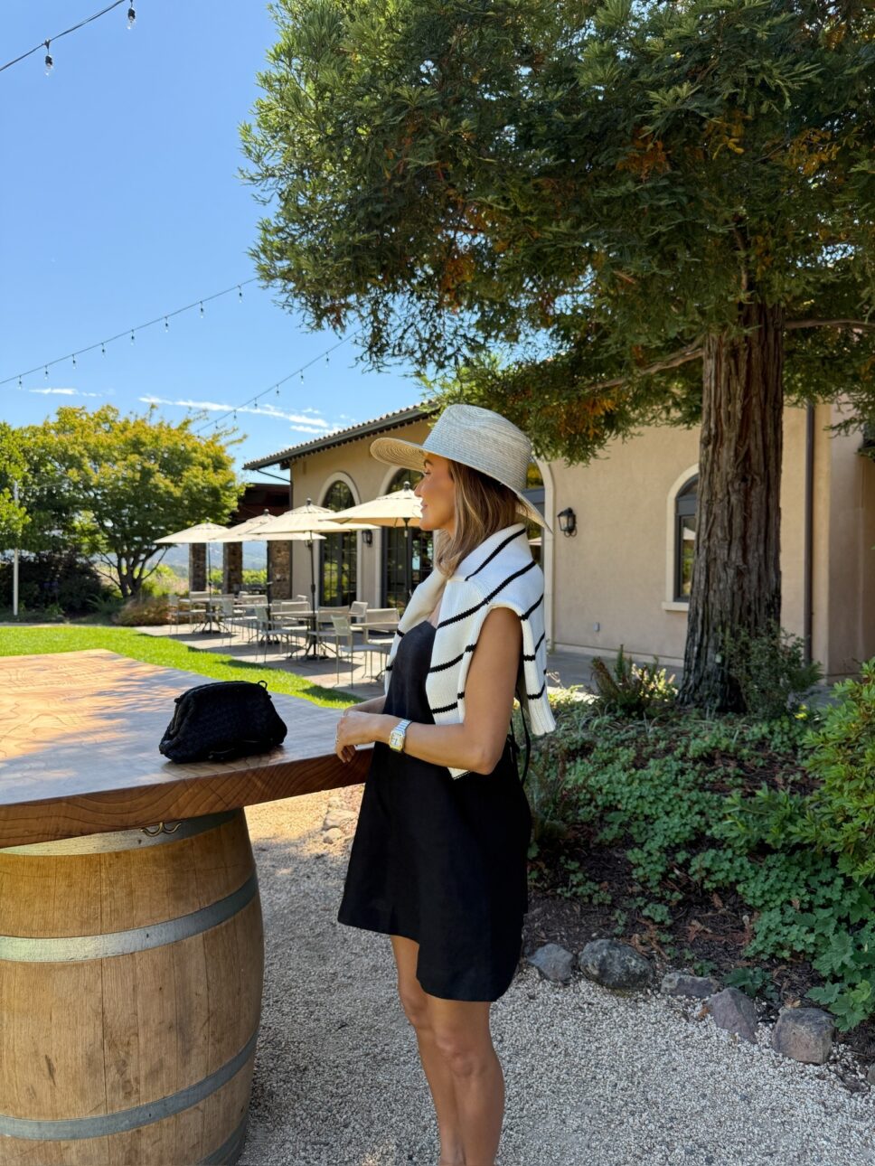 St. Francis winery and vineyards