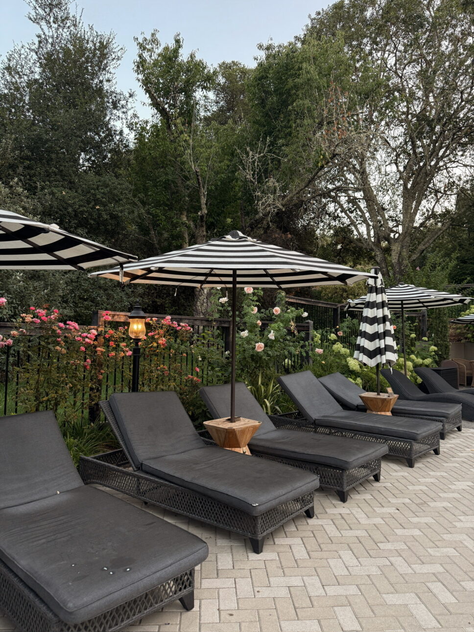 The pool area at The Madrona Healdsburg