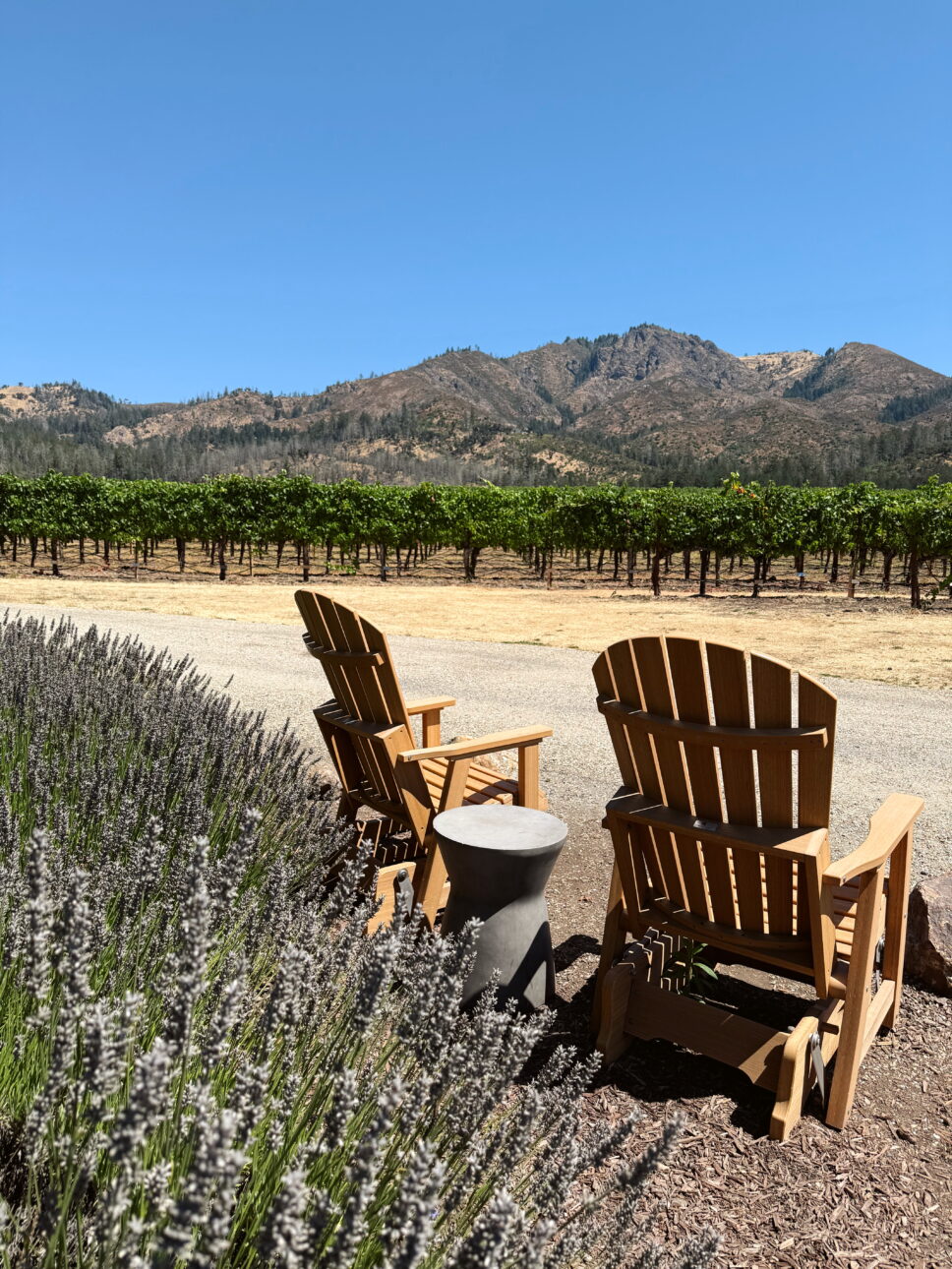 View from St. Francis winery and vineyards